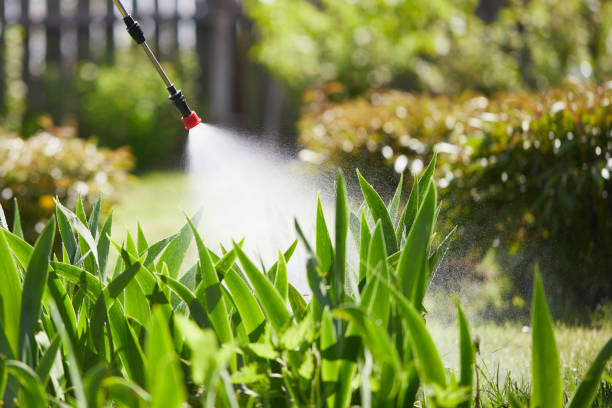 24/7 Emergency Mosquito Control experts in DeQuincy, LA