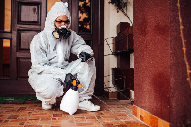 Reliable Mosquito Control contractor in DeQuincy, LA by Show Me Pest Control